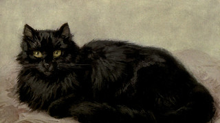 We should be more superstitious